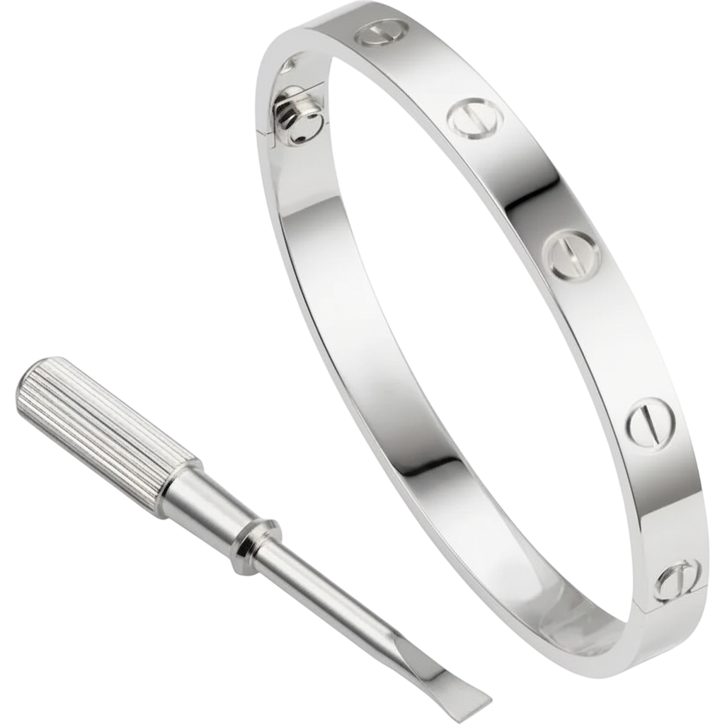Pulso Roma Clásico Plata | Estilo Atemporal